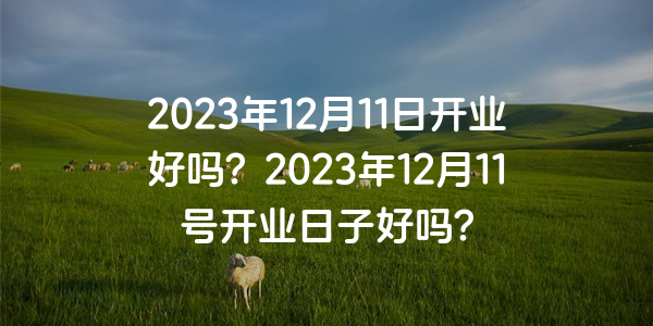 2023年12月11日開業好嗎？2023年12月11號開業日子好嗎？