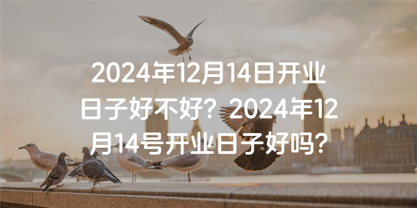 2024年12月14日開業日子好不好？2024年12月14號開業日子好嗎？