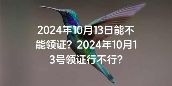 2024年10月13日能不能領證？2024年10月13號領證行不行？