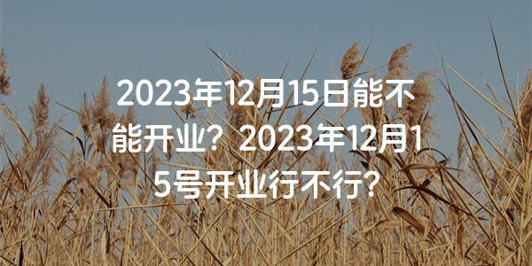 2023年12月15日能不能開業？2023年12月15號開業行不行？