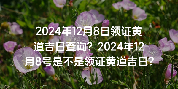 2024年12月8日領證黃道吉日查詢？2024年12月8號是不是領證黃道吉日？