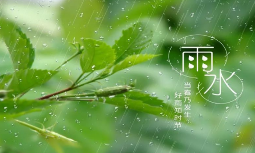 2023雨水節氣會下雪嗎？雨水節氣天氣有什麼變化？