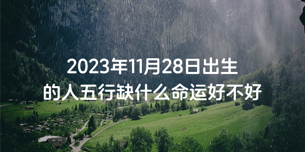 2023年11月28日出生的人五行缺什麼命運好不好