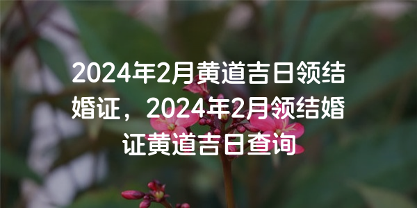 2024年2月黃道吉日領結婚證，2024年2月領結婚證黃道吉日查詢