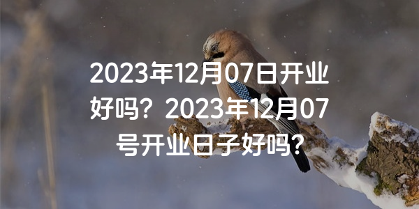 2023年12月07日開業好嗎？2023年12月07號開業日子好嗎？