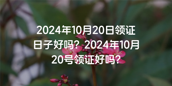 2024年10月20日領證日子好嗎？2024年10月20號領證好嗎？