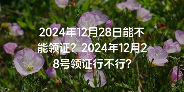 2024年12月28日能不能領證？2024年12月28號領證行不行？